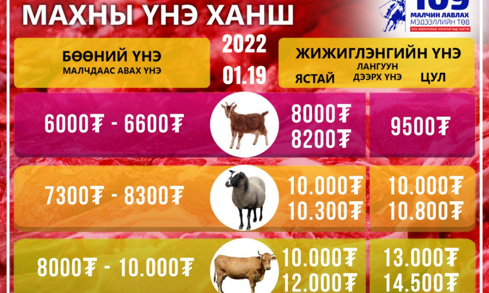 "Хүчит шонхор-Дэнжийн 1000" захын махны үнэ ханш