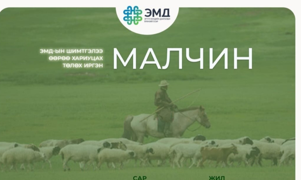 Малчин та ЭМД-ын шимтгэлээ бүрэн төлснөөр доорх хөнгөлөлтүүдийг эдлэнэ
