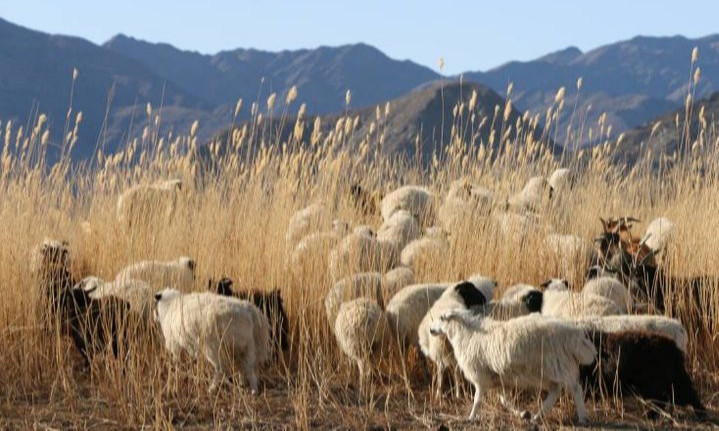 Мал аж ахуй, газар тариалангийн бүсийг заагласан хуулийг хэрэгжүүлэхэд дэмжлэг хүсэв