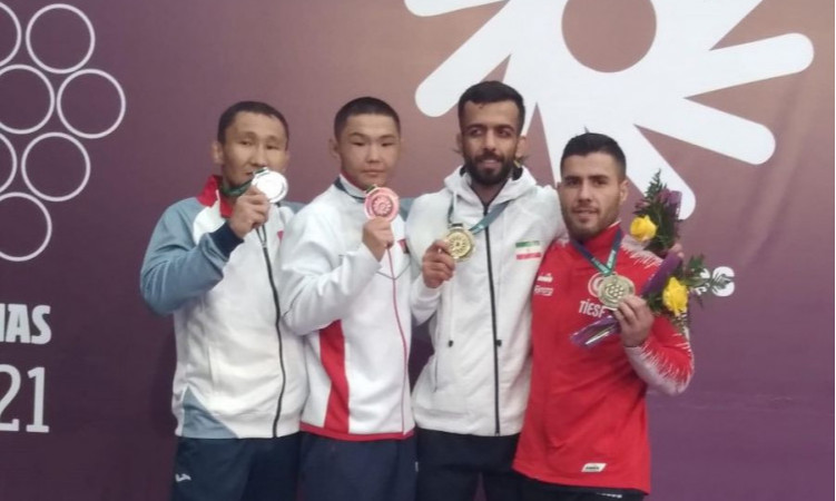 Дифлимпын 2 дахь аварга төрлөө