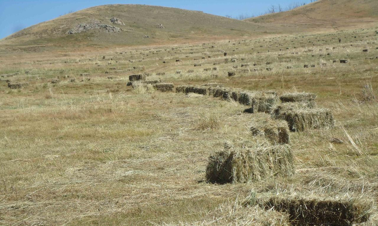 МАЛЧДЫН ТҮВШИНД ӨВС, ТЭЖЭЭЛ БЭЛТГЭЛ 84.5 ХУВЬТАЙ ГАРЛАА