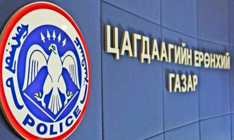 ЦЕГ: “Шувуу” ажиллагааны хүрээнд Интерполын шугамаар 50 этгээдийг олж тогтоолоо