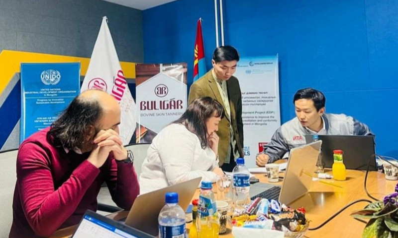 Монгол Улсын арьс шир боловсруулах үйлдвэрүүд LWG олон улсын аудит хийлгэж байна 