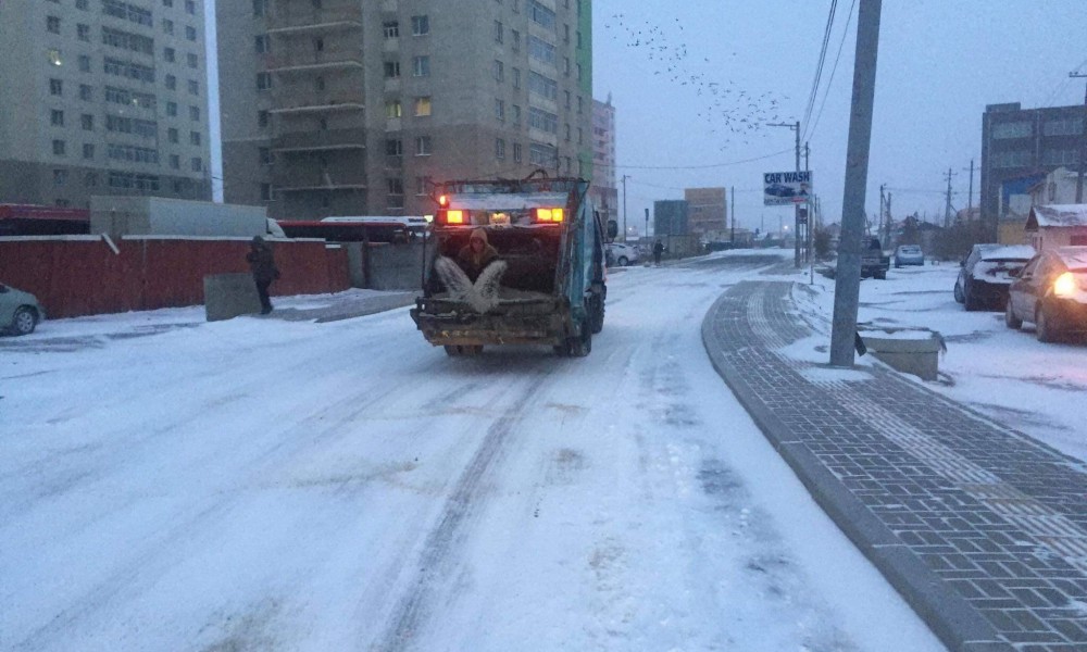 СХД цас цэвэрлэгээнд 33,5 тн давс цацан ажиллаж байна.