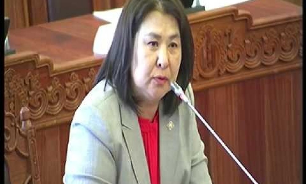 111 тэрбум төгрөгийн зээл авна. Бас 4 тэрбум төгрөгийн хураамжаас чөлөөлөгдөнө